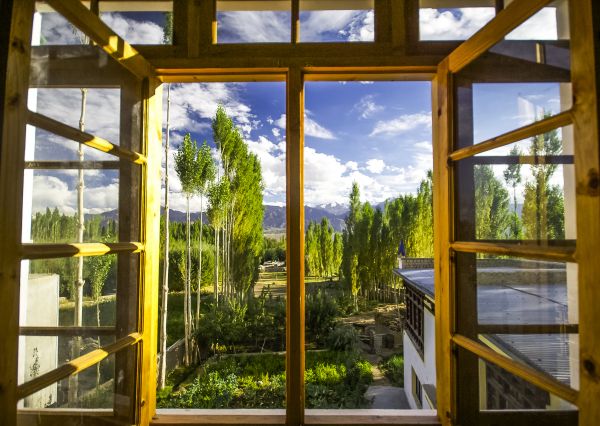 Cost of Wood Window Replacement in Matthews