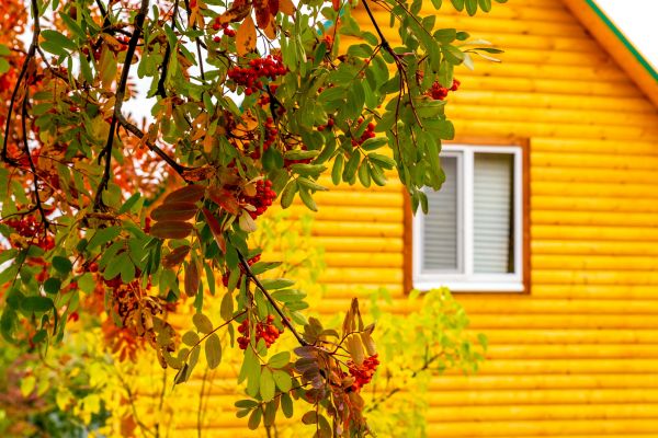 Cost of Garden Window Replacement in Matthews