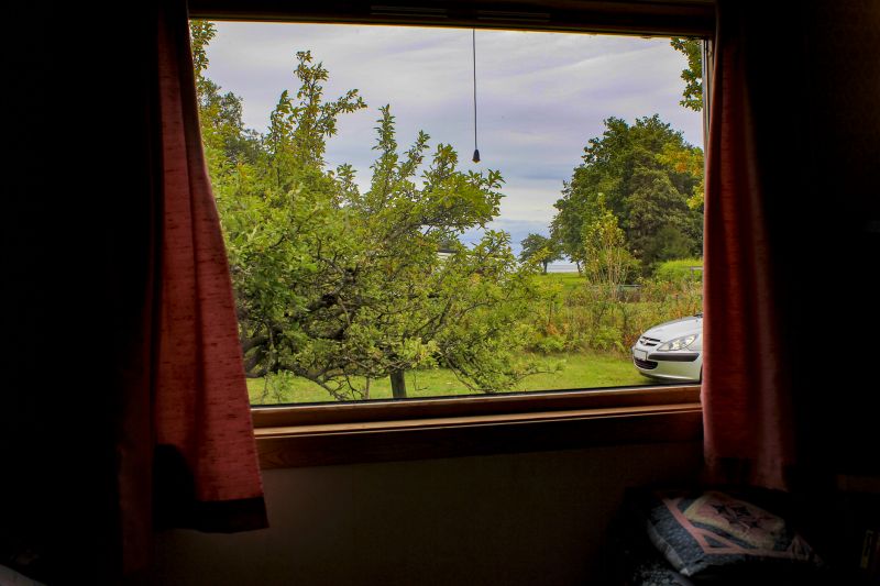 Eyebrow Window Replacement